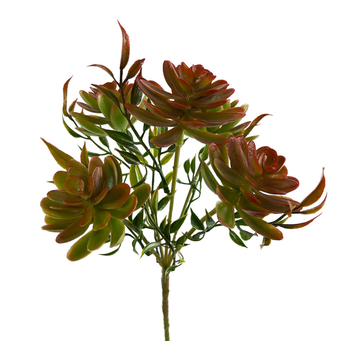 Artificial Echeveria Succulents Green/Yellow