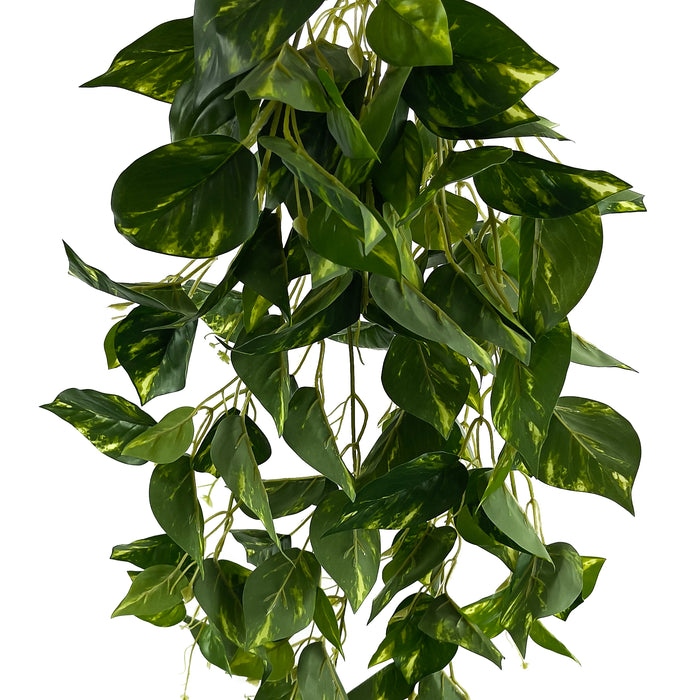Artificial Pothos Hanger Green/Yellow
