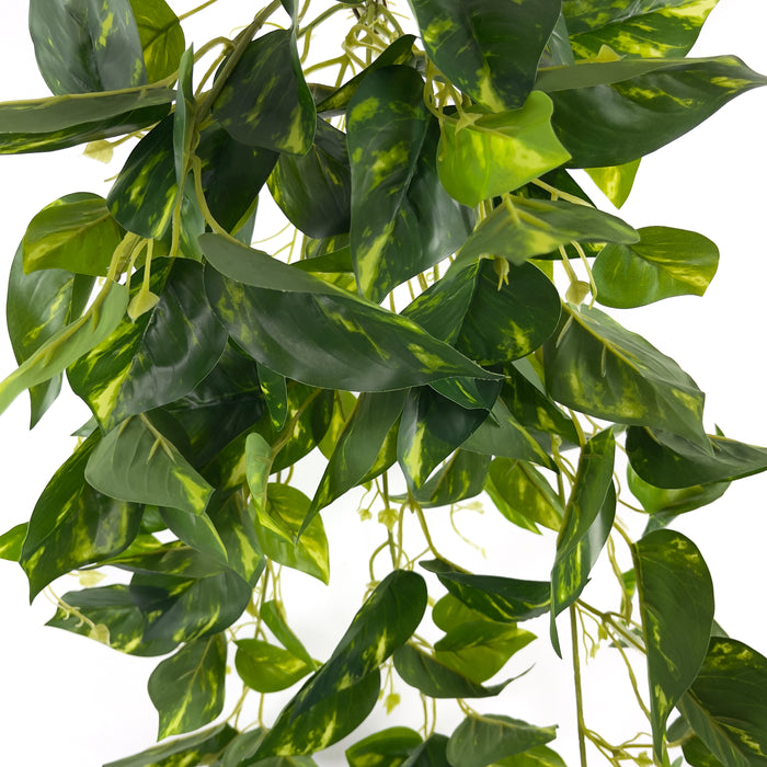Artificial Pothos Hanger Green/Yellow