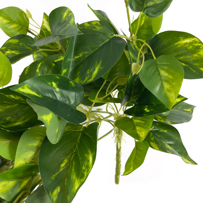 Artificial Pothos Hanger Green/Yellow