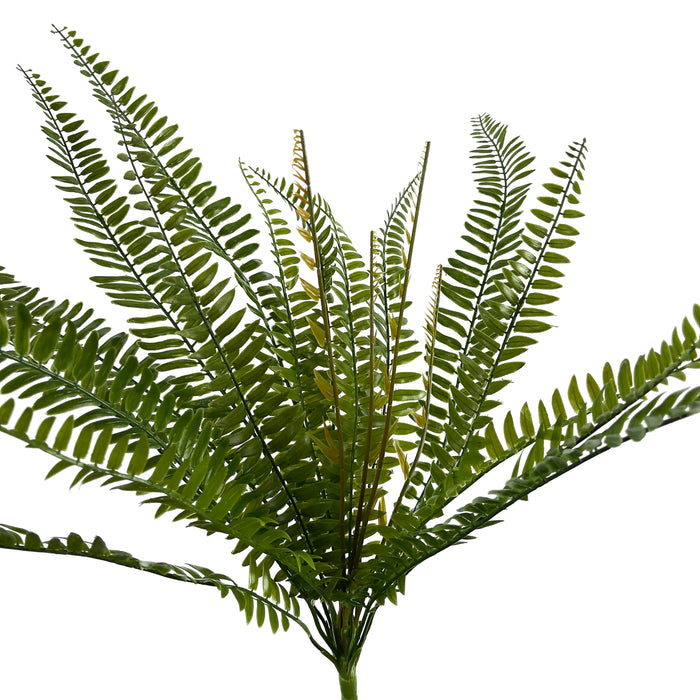 Artificial Sword Fern Green