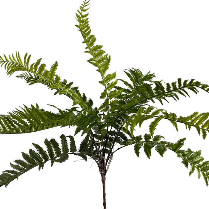 Artificial River Fern Green