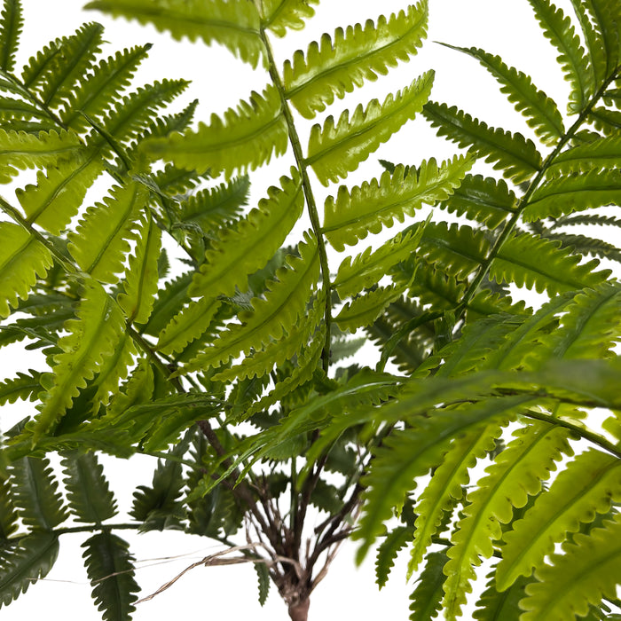Artificial River Fern Green