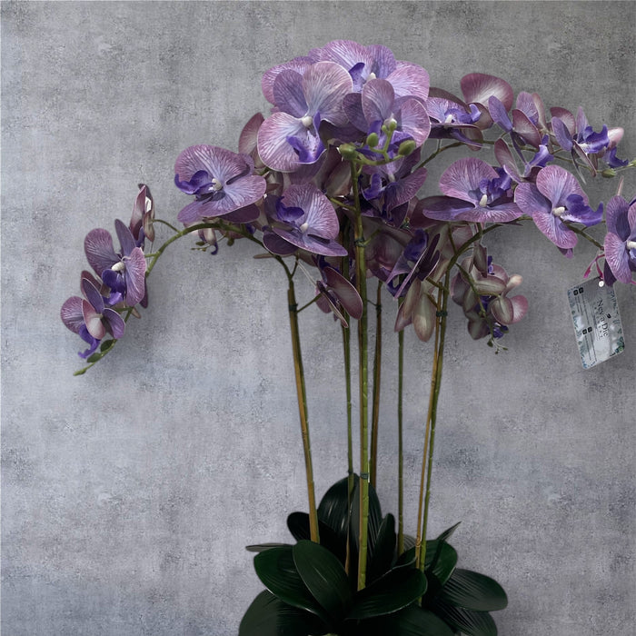 Artificial Purple Phalaenopsis Orchid Arrangement 6 Stem