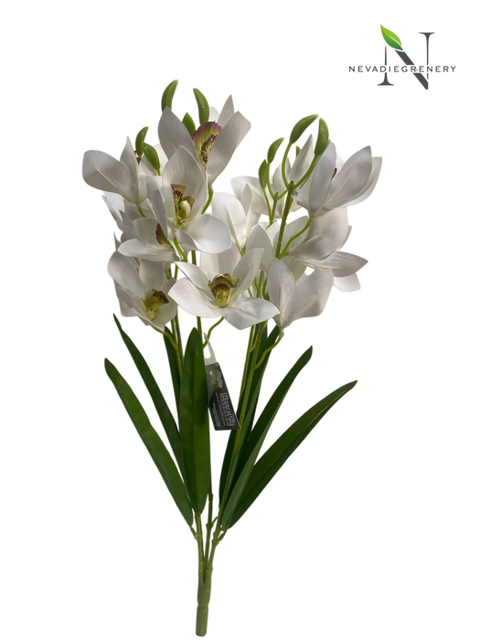 White Cymbidium Orchid Spray