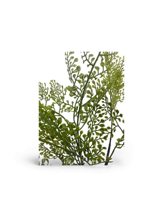 Artificial Maidenhair Fern Spray