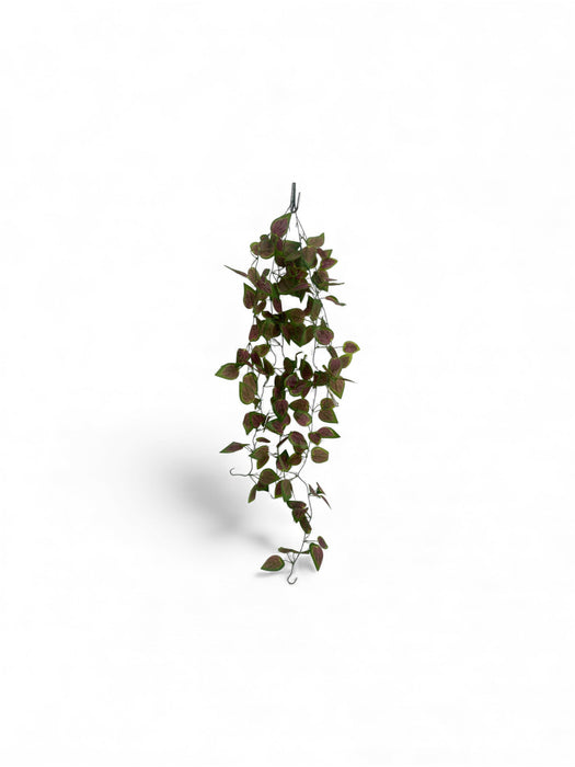 Artificial Hanging Fittonia Vine