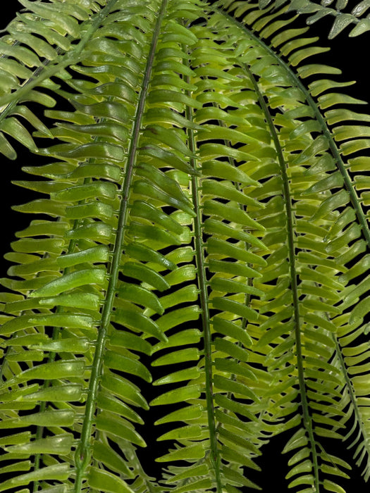 Artificial Hanging Boston Fern