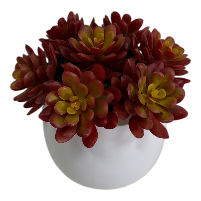 Artificial Red Echeveria Cluster in White Ball Pot