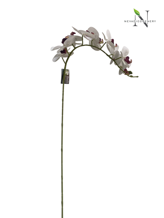 White & Plum Orchid Stem (Artificial)