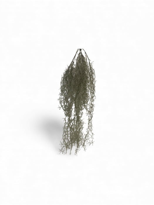 Artificial Hanging Spanish Moss Vine