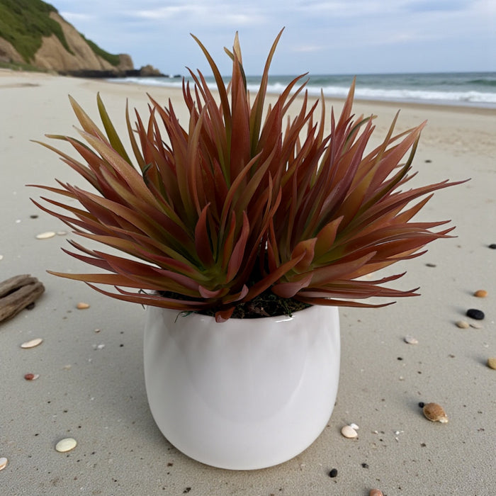 Artificial Red Grass Plant in White Ceramic Pot