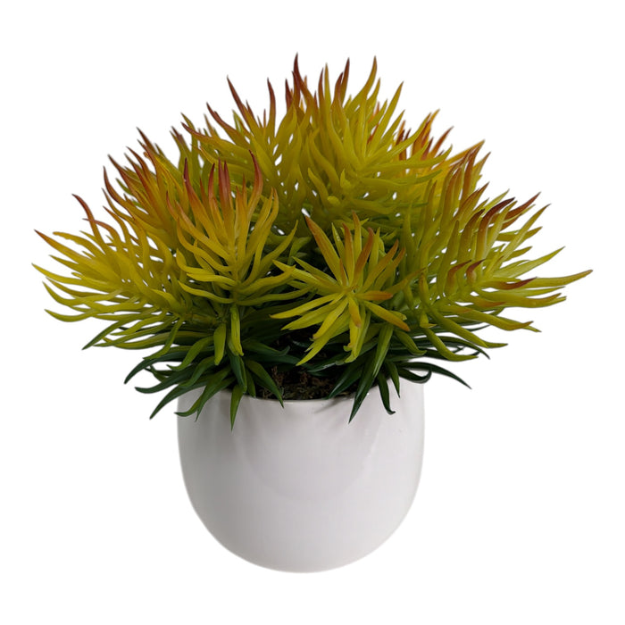 succulent spiky Artificial Spiky Succulent Arrangement in White Ceramic Pot — Nevadiegreenery