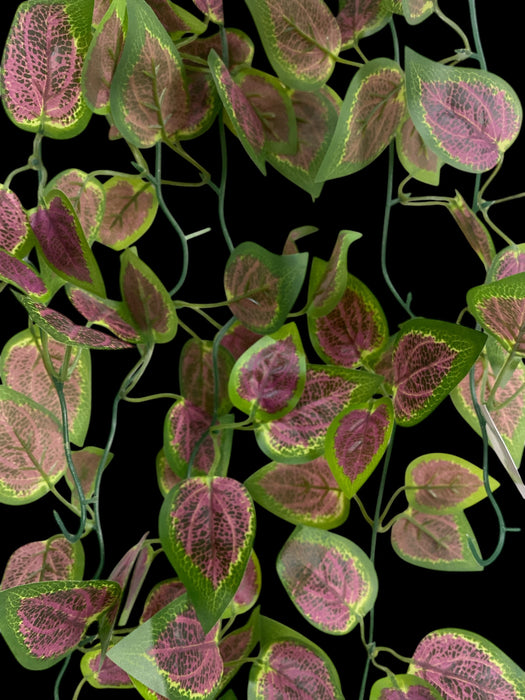 Artificial Hanging Fittonia Vine