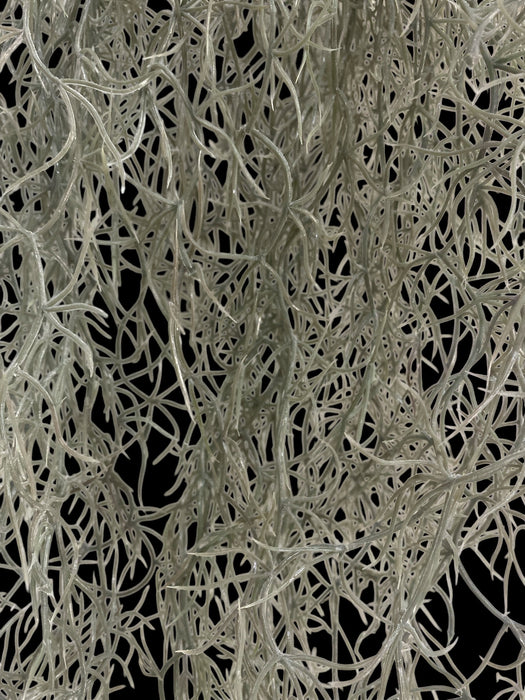 Artificial Hanging Spanish Moss Vine