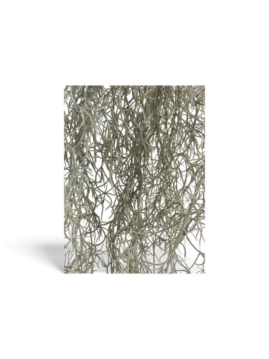 Artificial Hanging Spanish Moss Vine