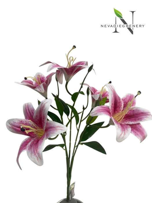 Pink Lily Bunch