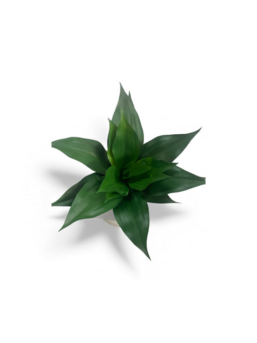 Artificial Succulent Rosette (Green Dracaena-Style)