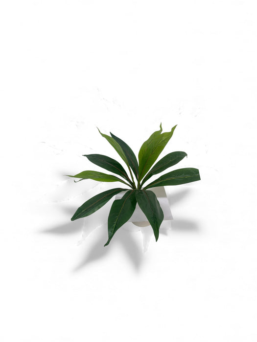Artificial Dracaena-Style