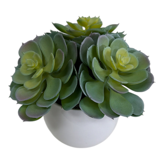 Artificial Blue-Grey Echeveria Cluster in White Ball Pot