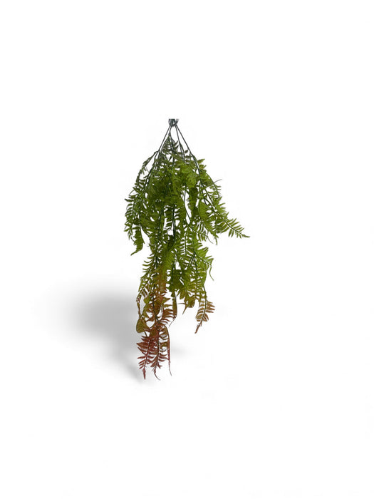 Trailing Fern (Boston / Sword Fern style)