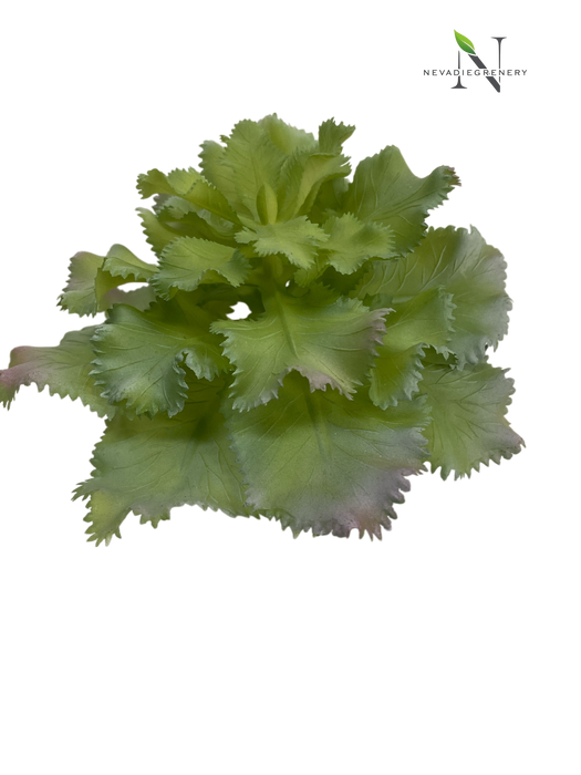 artificial ruffled Echeveria succulent