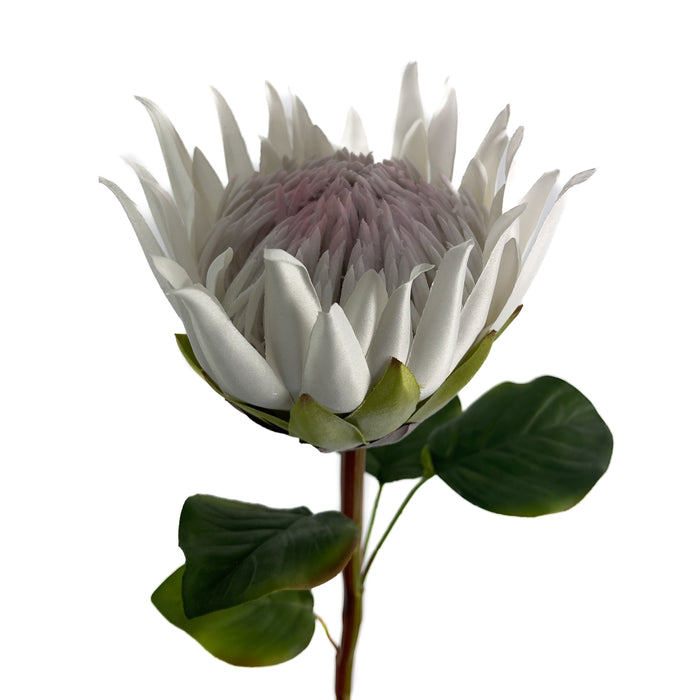 Artificial King Protea White