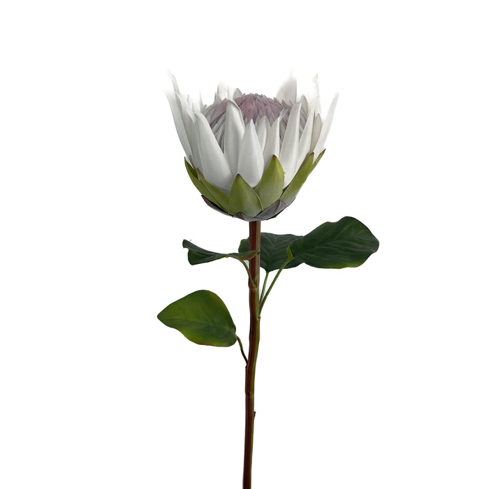 Artificial King Protea White