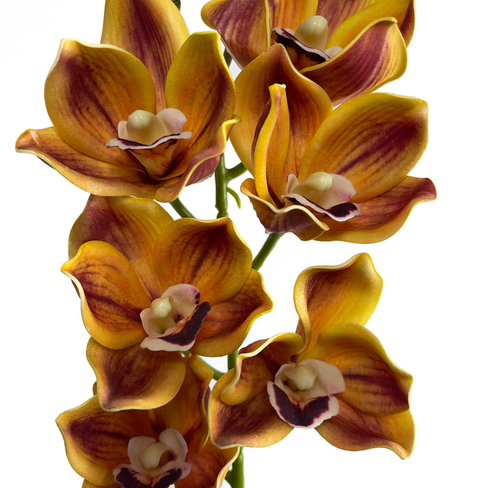 Artificial Cymbidium Orchid Orange