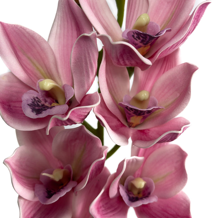 Artificial Cymbidium Orchid Pink