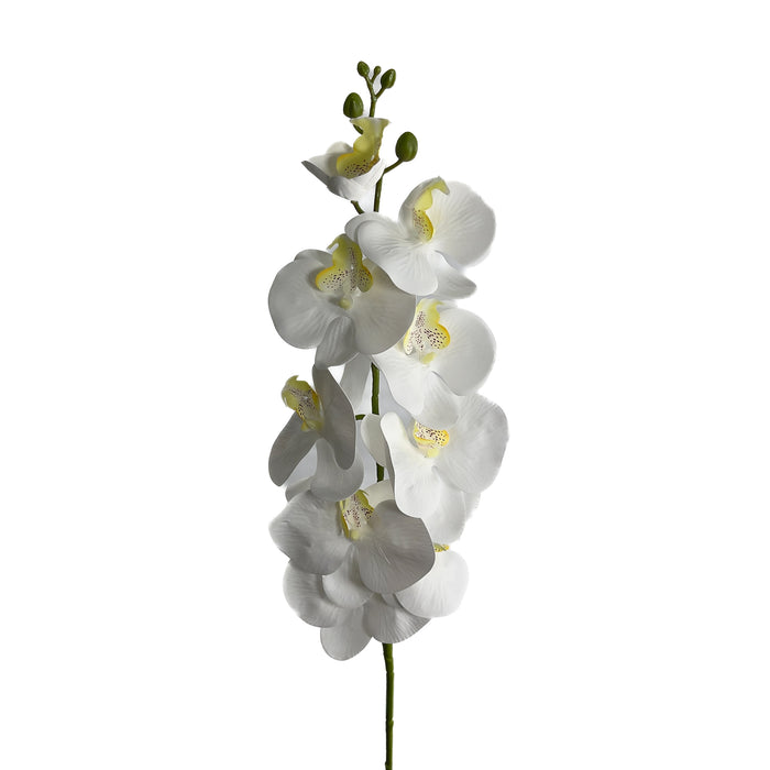 Artificial Phalaenopsis Orchid White