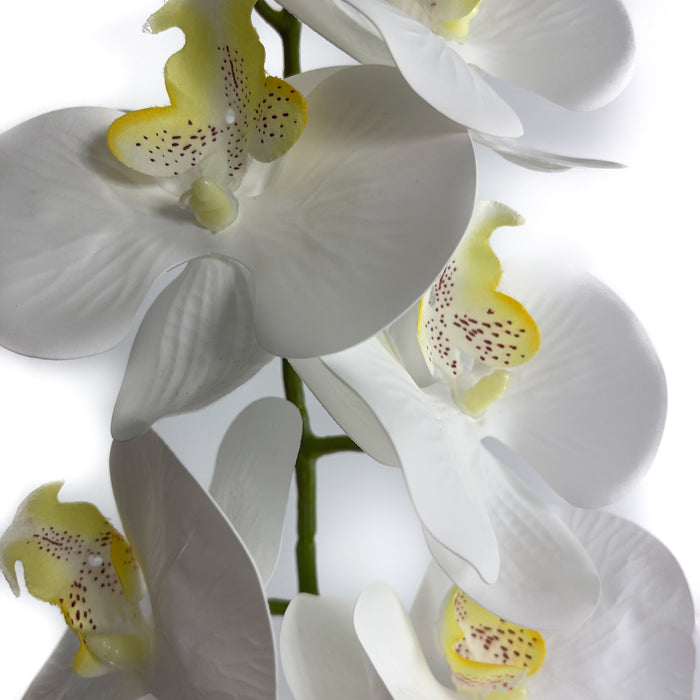 Artificial Phalaenopsis Orchid White