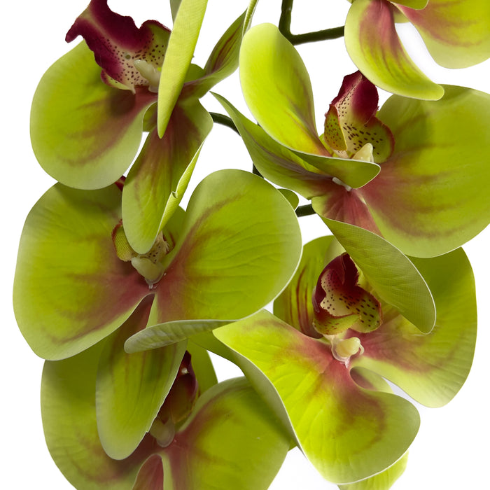 Artificial Phalaenopsis Orchid Green