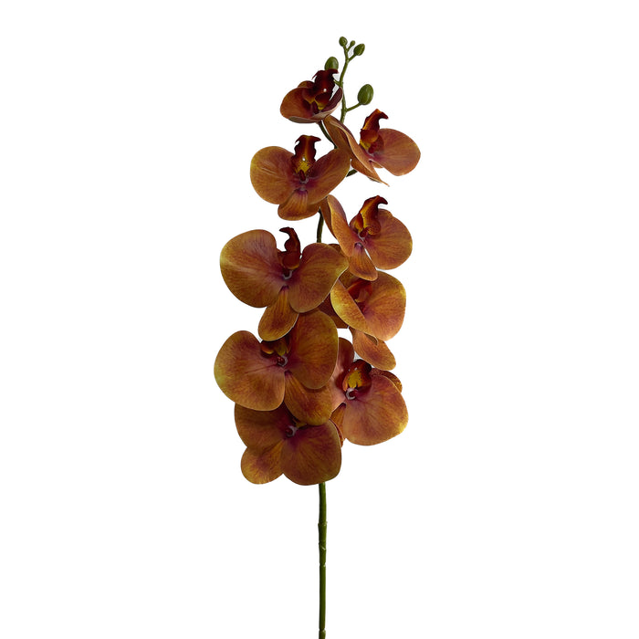 Artificial Phalaenopsis Orchid Orange
