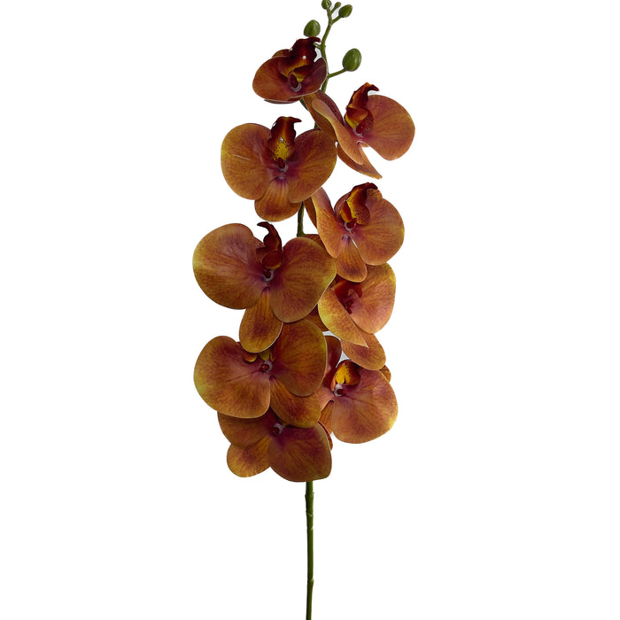 Artificial Phalaenopsis Orchid Orange