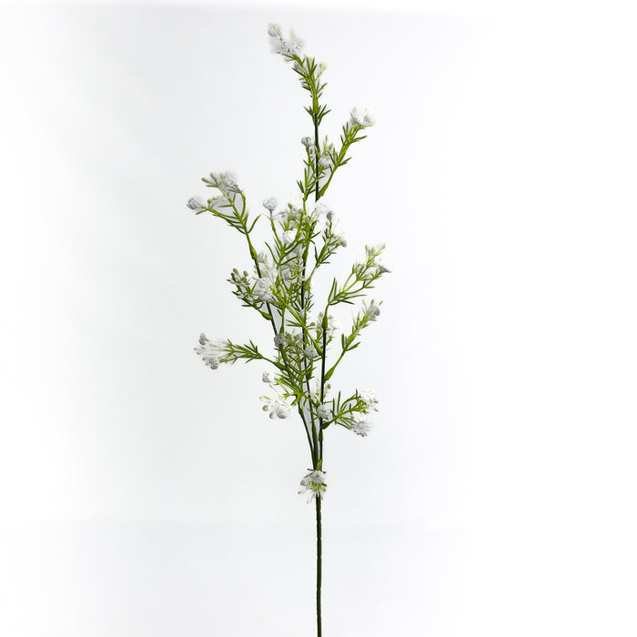 Artificial Geraldton Wax White