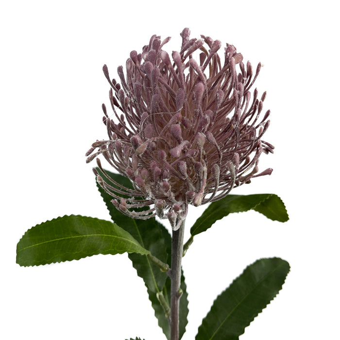 Artificial Leucospermum Purple