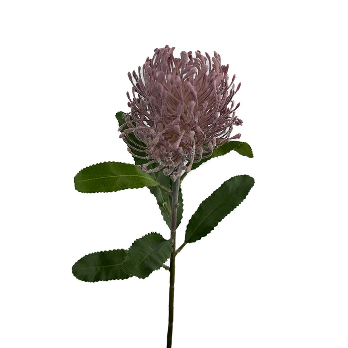 Artificial Leucospermum Purple