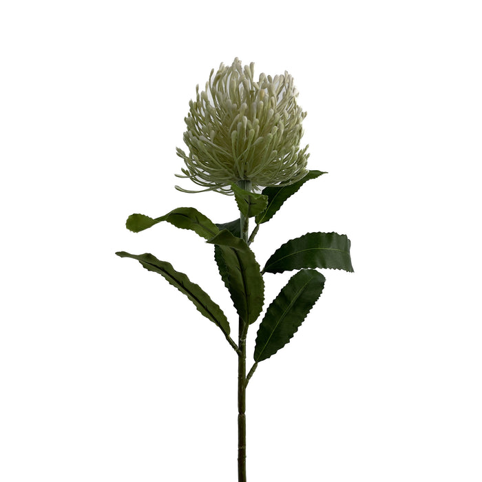 Artificial Leucospermum Cream