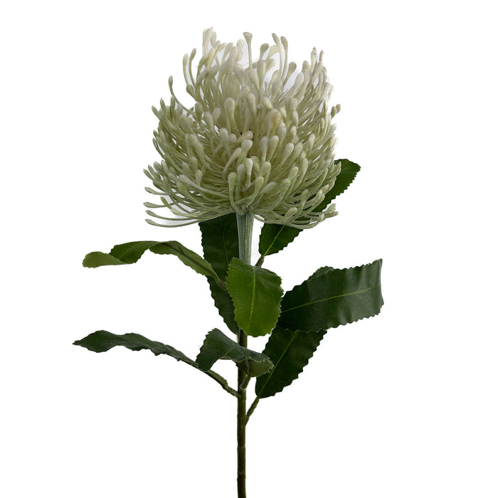 Artificial Leucospermum Cream