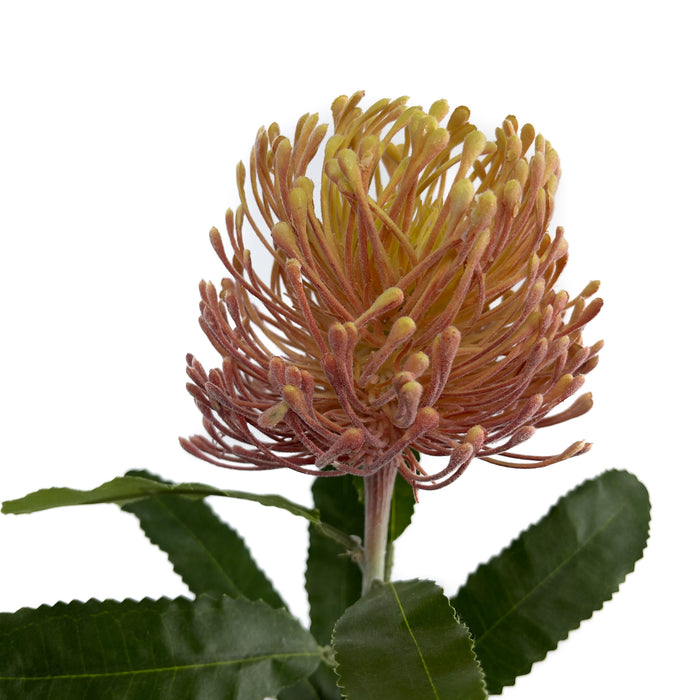 Artificial Leucospermum Orange