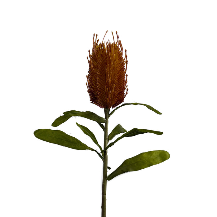 Artificial Banksia Orange