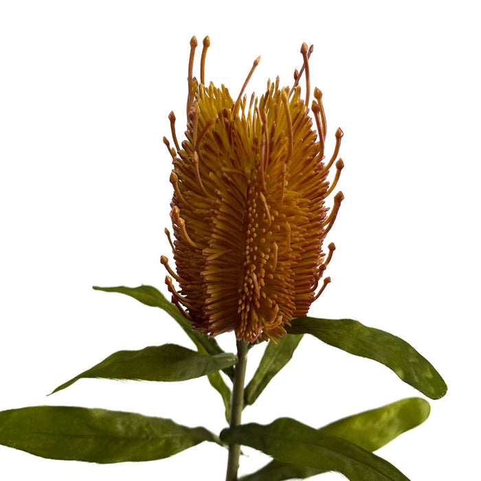 Artificial Banksia Orange