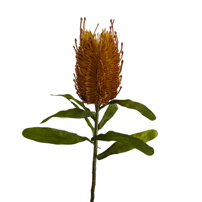 Artificial Banksia Orange