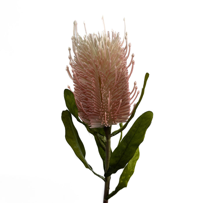 Artificial Banksia Pink