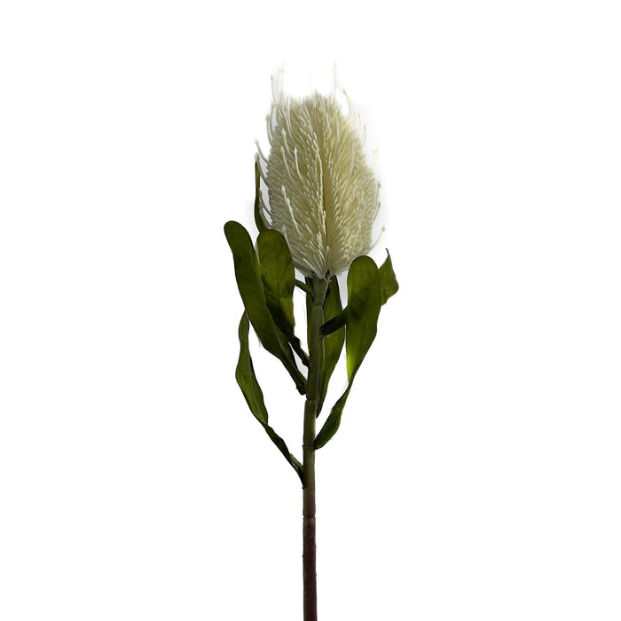 Artificial Banksia Cream