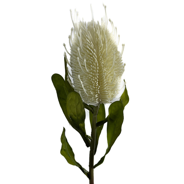 Artificial Banksia Cream