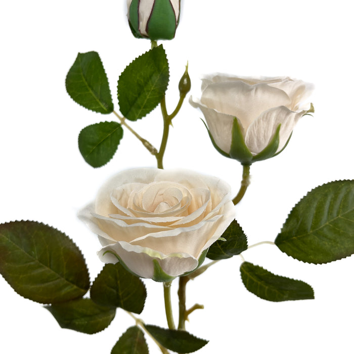 Artificial Rose Cream