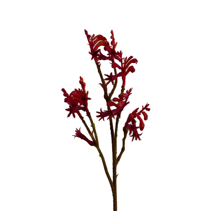 Artificial Kangaroo Paws Red