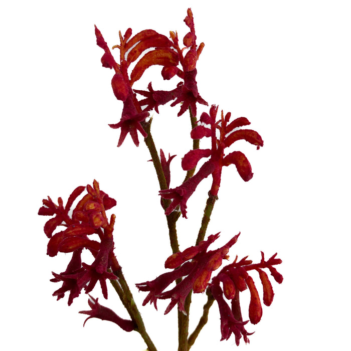 Artificial Kangaroo Paws Red